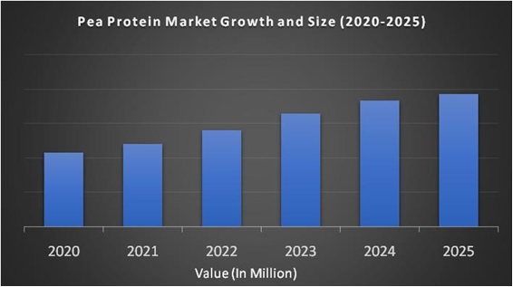 Pea Protein Market